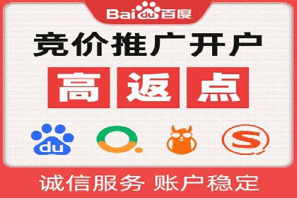 大型SEM服务公司案例分析
